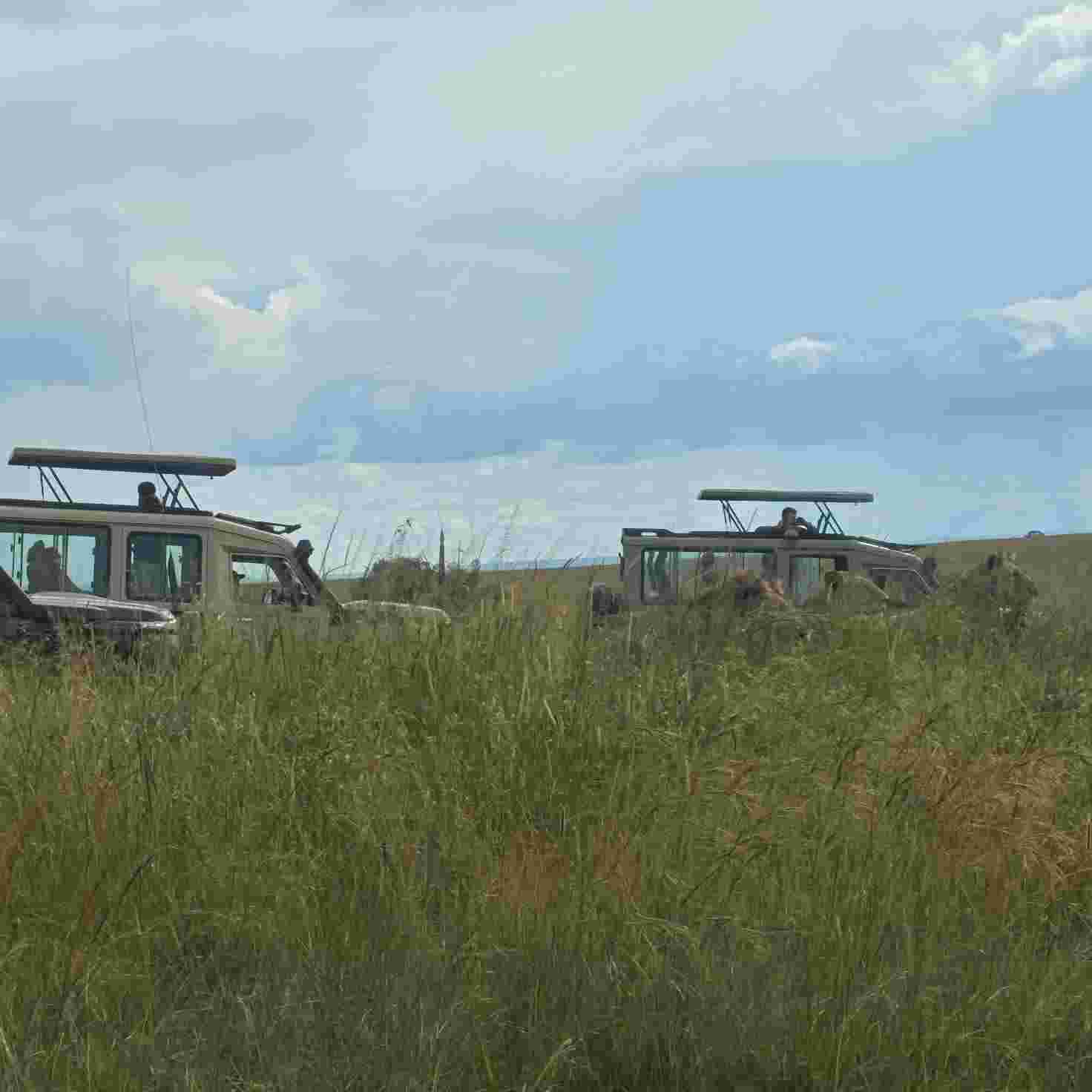 Game Drive in Maasai Mara